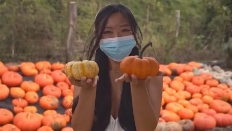 【sv-289】比较是偷走快乐的小偷
